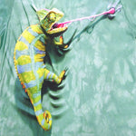 3D Climbing Chameleon Shirt - outfitshirt