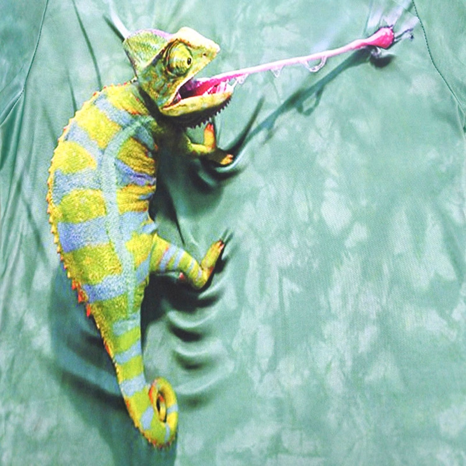 3D Climbing Chameleon Shirt - outfitshirt