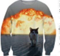 3D CAT HOODIE - outfitshirt