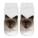 Cat Socks 3D - outfitshirt