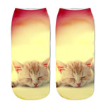 Cat Socks 3D - outfitshirt