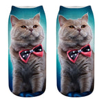 Cat Socks 3D - outfitshirt