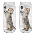 Cat Socks 3D - outfitshirt