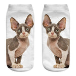 Cat Socks 3D - outfitshirt