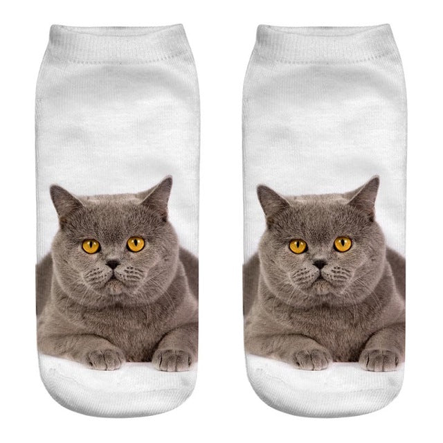 Cat Socks 3D - outfitshirt