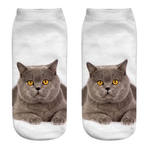 Cat Socks 3D - outfitshirt